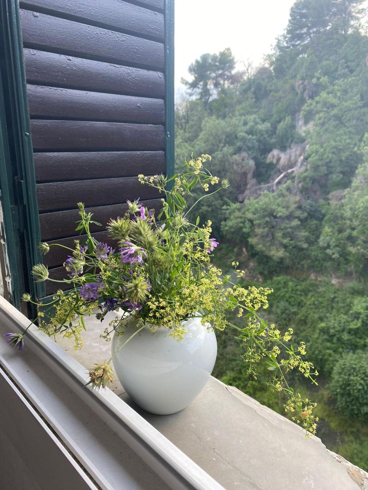 Grand Appartments Sappia Nicea Zewnętrze zdjęcie